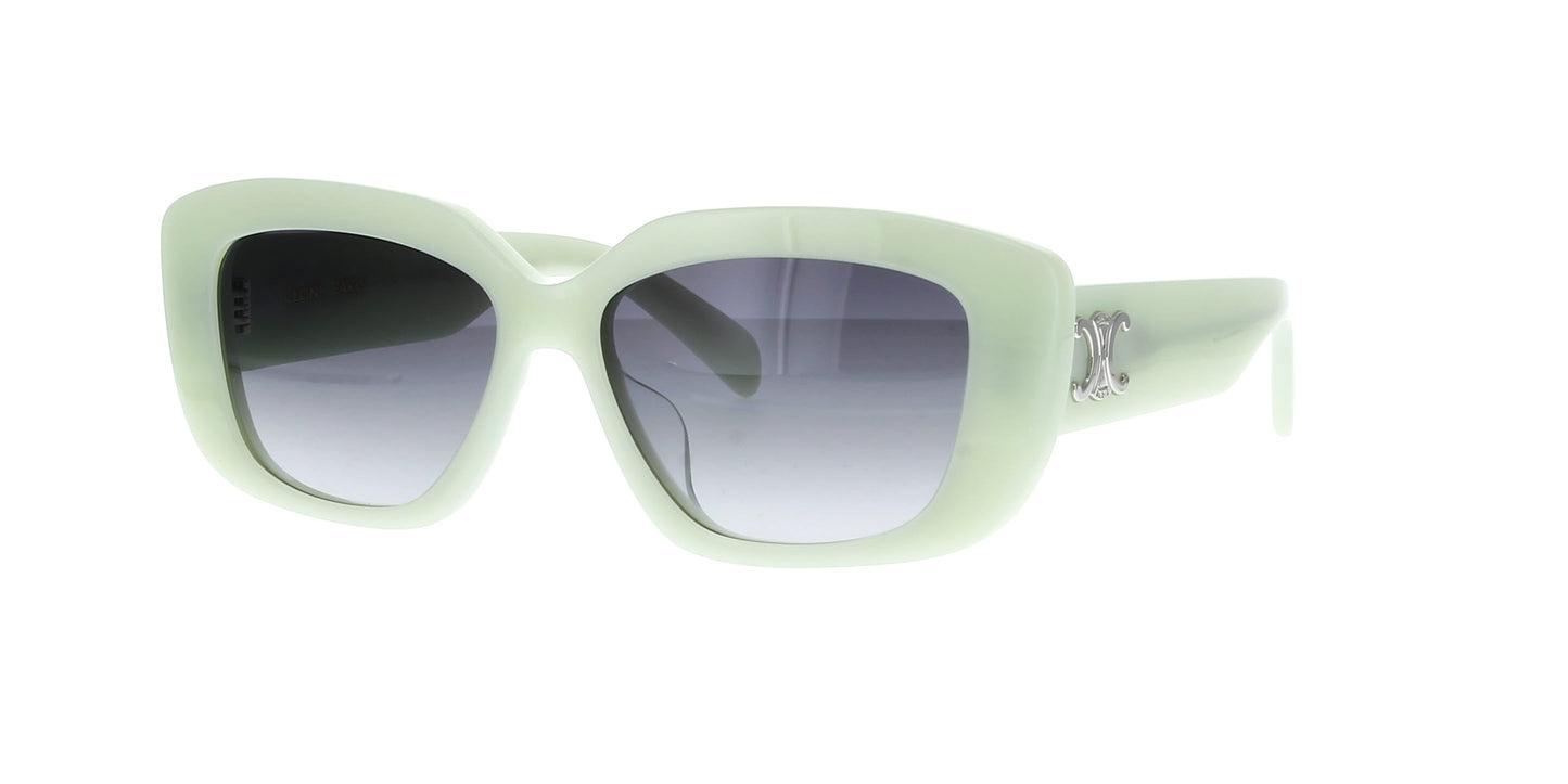 CELINE Triomphe CL40216U Square